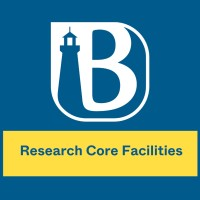 AI Core Logo